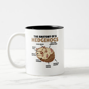 Caneca De Café Em Dois Tons Bonita Explicação De Hedgehog Anatomia De Hedgeh