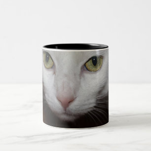 Caneca De Café Em Dois Tons Bonita Gata Branca