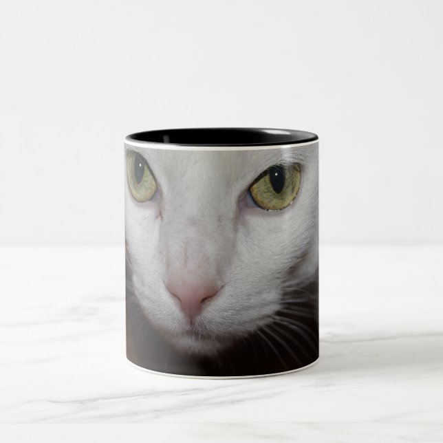 Caneca De Café Em Dois Tons Bonita Gata Branca (Centro)