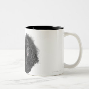 Caneca De Café Em Dois Tons Bonito, aparado, preto, corpo completo da caniche