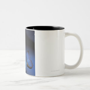 Caneca De Café Em Dois Tons Borboleta azul