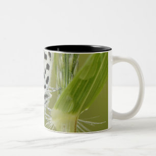 Caneca De Café Em Dois Tons Borboleta branca manchada que descansa na haste da