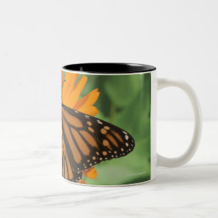 Caneca De Café Em Dois Tons Borboleta de monarca (plexippus do Danaus) no pote