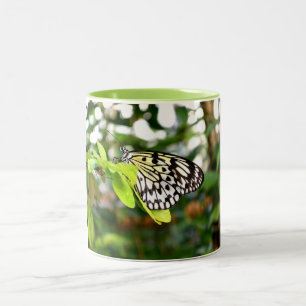 Caneca De Café Em Dois Tons Borboleta de papagaio