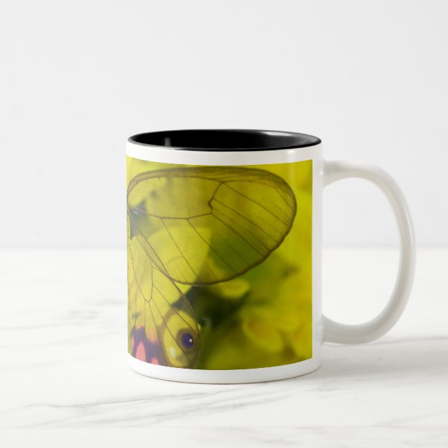 Caneca De Café Em Dois Tons Borboleta em amarelo (Direita)