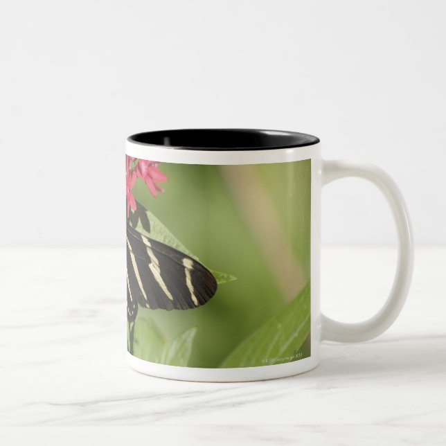 Caneca De Café Em Dois Tons Borboleta longwing da zebra, Heliconius (Direita)