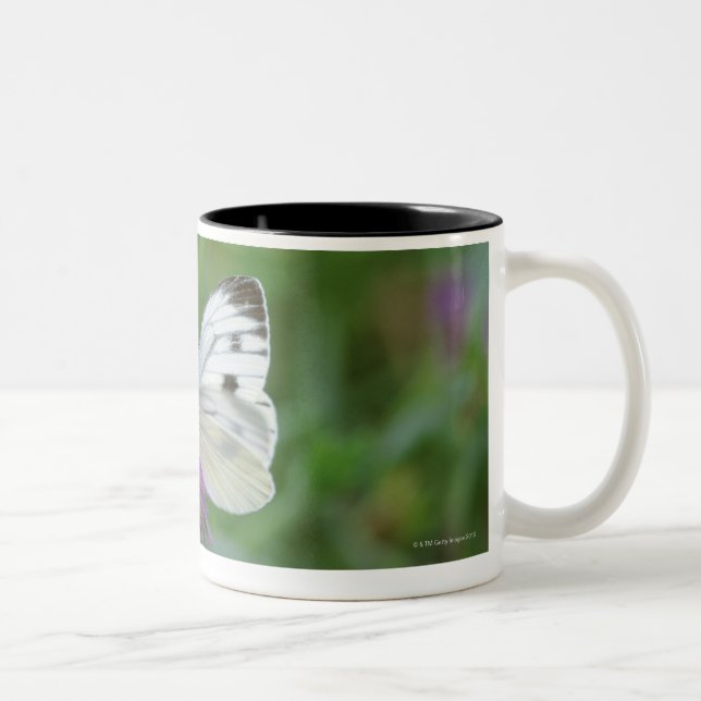 Caneca De Café Em Dois Tons Borboleta na flor (Direita)