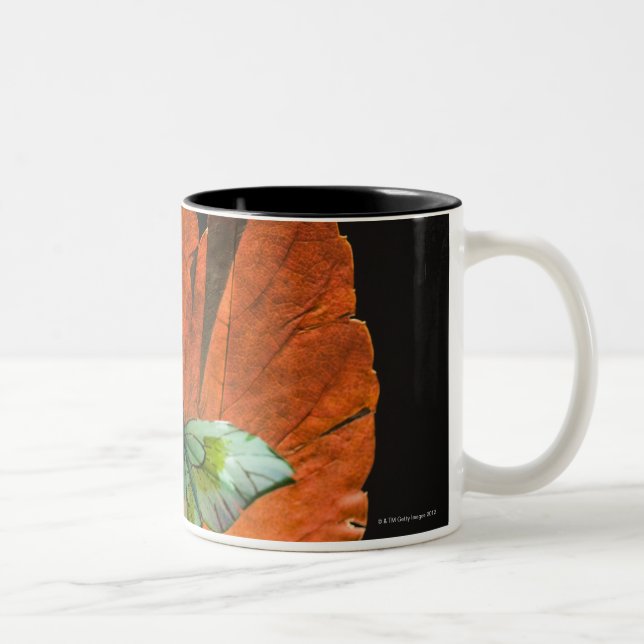 Caneca De Café Em Dois Tons Borboleta na folha 2 (Direita)