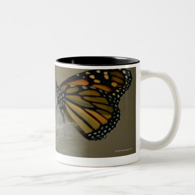Caneca De Café Em Dois Tons Borboleta no dente-de-leão (Direita)