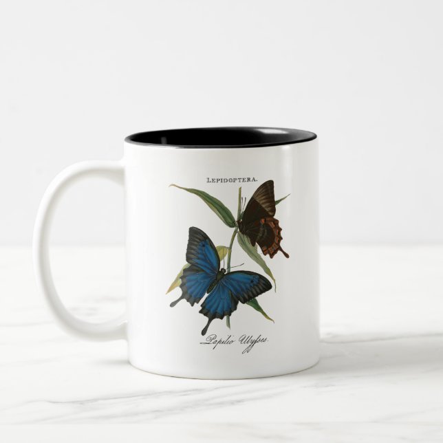 Caneca De Café Em Dois Tons Borboleta Ulisses (Esquerda)