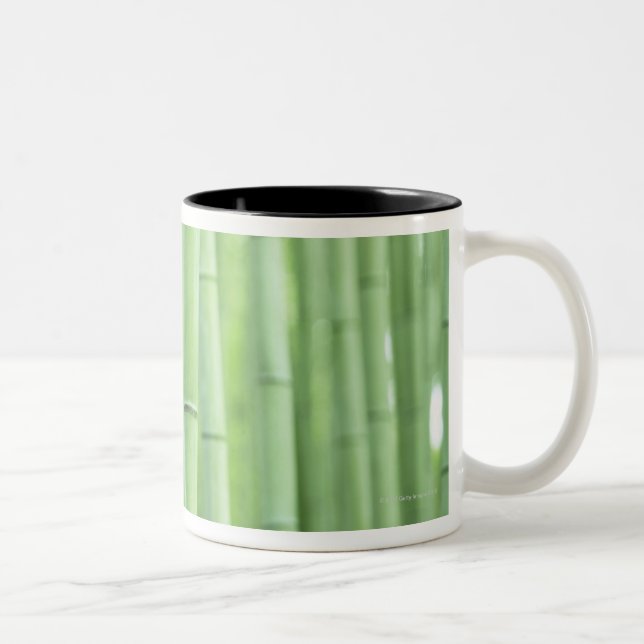 Caneca De Café Em Dois Tons Bosque de bambu (Direita)