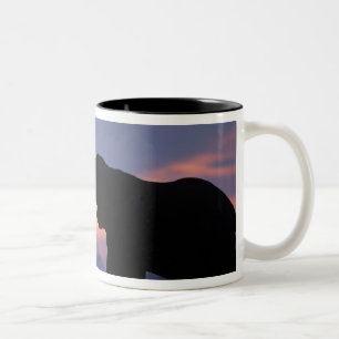 Caneca De Café Em Dois Tons Botswana, Parque Nacional Chobe, Elefantes