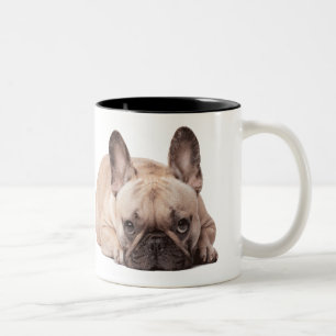Caneca De Café Em Dois Tons Buldogue Francês Bonito