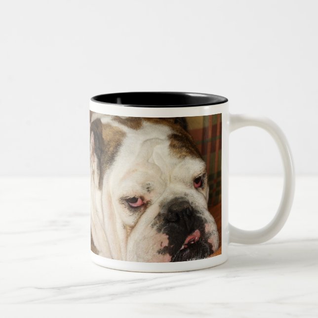 Caneca De Café Em Dois Tons buldogue que encontra-se em um sofá (Direita)