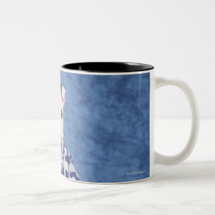 Caneca De Café Em Dois Tons Bull terrier é uma raça do cão no