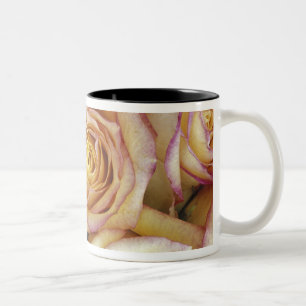 Caneca De Café Em Dois Tons Buquê de rosas