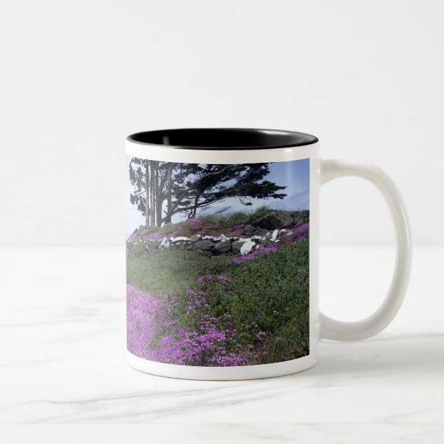 Caneca De Café Em Dois Tons CA, Crescent City, farol de Battery Point com (Direita)
