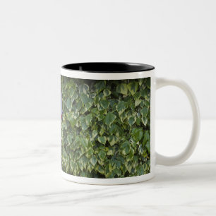 Caneca De Café Em Dois Tons Cabana com telhado de colmo, Adare, Condado de Lim