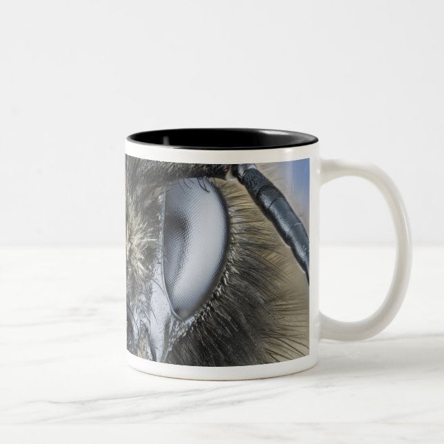 Caneca De Café Em Dois Tons Cabeça do zangão (Direita)
