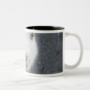 Caneca De Café Em Dois Tons Cabra nova