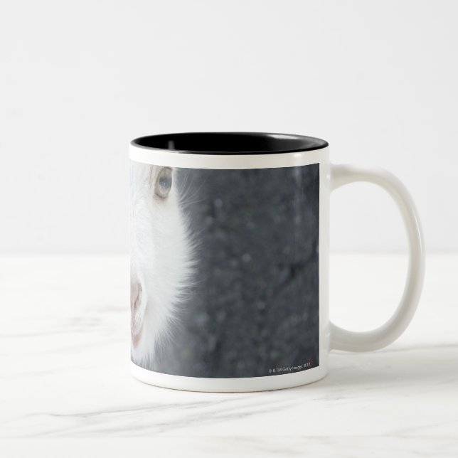 Caneca De Café Em Dois Tons Cabra nova (Direita)