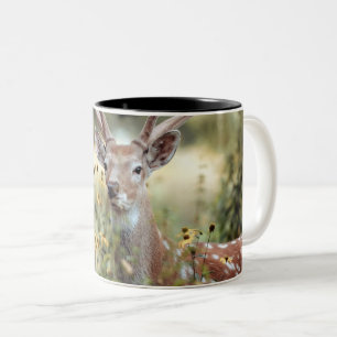 Caneca De Café Em Dois Tons Caça ao Whitetail Buck Deer