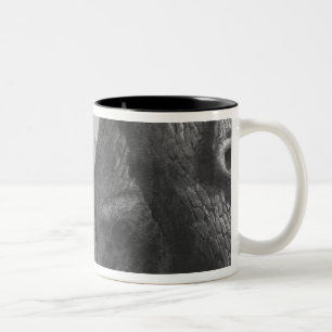 Caneca De Café Em Dois Tons Caça do varrão