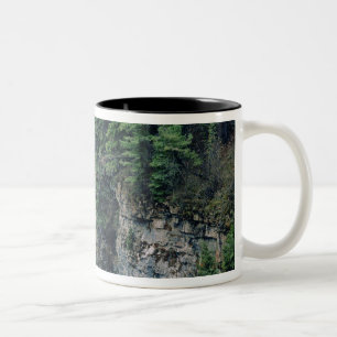 Caneca De Café Em Dois Tons Cachoeira no Falls Creek em Lewis e Clark