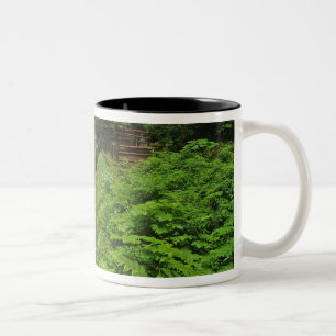 Caneca De Café Em Dois Tons Cachoeira Sol Duc no Parque Nacional Olímpico em 2