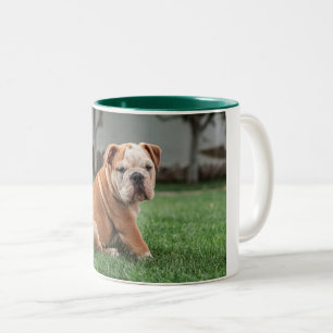 Caneca De Café Em Dois Tons cachorrinho vermelho e branco