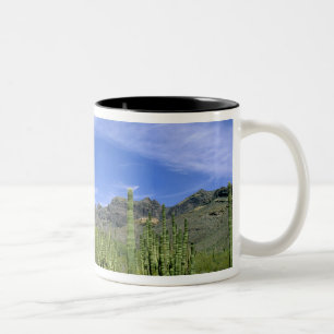 Caneca De Café Em Dois Tons Cacto do Deserto no Monumento Nacional do Organ Pi