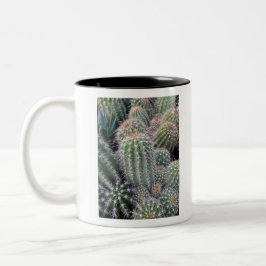 Caneca De Café Em Dois Tons Cactus