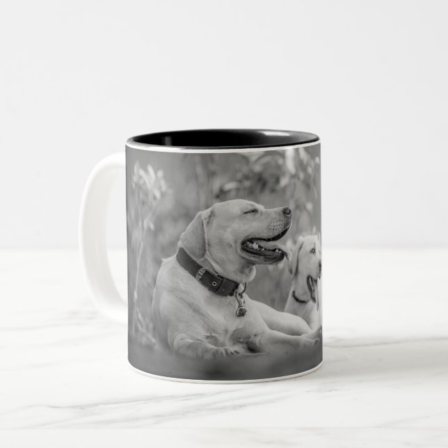 CANECA DE CAFÉ EM DOIS TONS CÃES DE LABRADOR QUE SE REVELEM (Frente Esquerda)