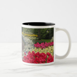 Caneca De Café Em Dois Tons Calçada através de tulipas, narcisos e