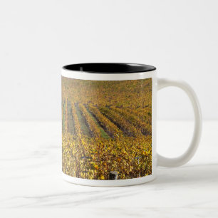 Caneca De Café Em Dois Tons Califórnia, Condado de San Luis Obispo, Edna Valle