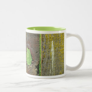 Caneca De Café Em Dois Tons Cama - Cerca de Madeira com Moss