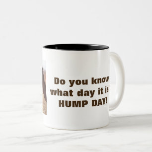 Caneca De Café Em Dois Tons Camelos Hump Day