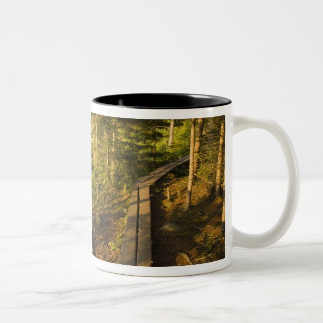Caneca De Café Em Dois Tons Caminhada de madeira no Parque Nacional de Acadia  (Direita)