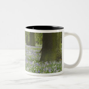 Caneca De Café Em Dois Tons Campainhas azuis e Carvalhos na Primavera, Little
