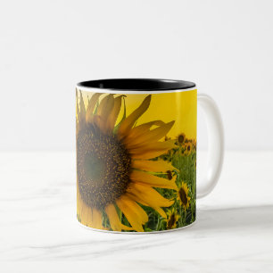 Caneca De Café Em Dois Tons Campo de Sunflower Kansas
