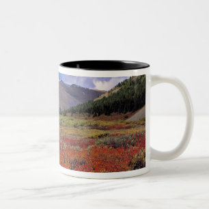 Caneca De Café Em Dois Tons Canadá, Alberta, Banff NP. Mirtilos em flor
