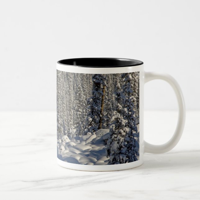 Caneca De Café Em Dois Tons Canadá, Alberta, Parque Nacional Jasper. (Direita)