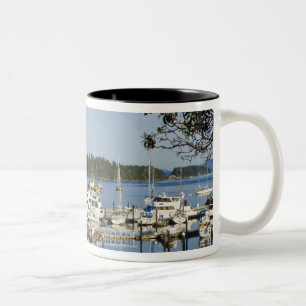 Caneca De Café Em Dois Tons Canadá, BC, Ilhas do Golfo, Ilha Salt Spring,