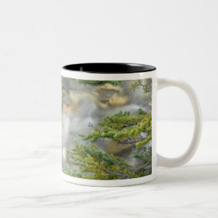 Caneca De Café Em Dois Tons Canadá, Colúmbia Britânica, Parque Nacional Yoh