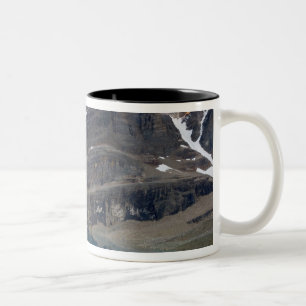 Caneca De Café Em Dois Tons Canadá, Colúmbia Britânica, Parque Nacional Yoh