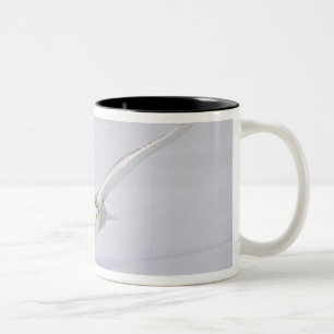 Caneca De Café Em Dois Tons Canadá, Quebec. Coruja-das-neves voa baixo sobre a