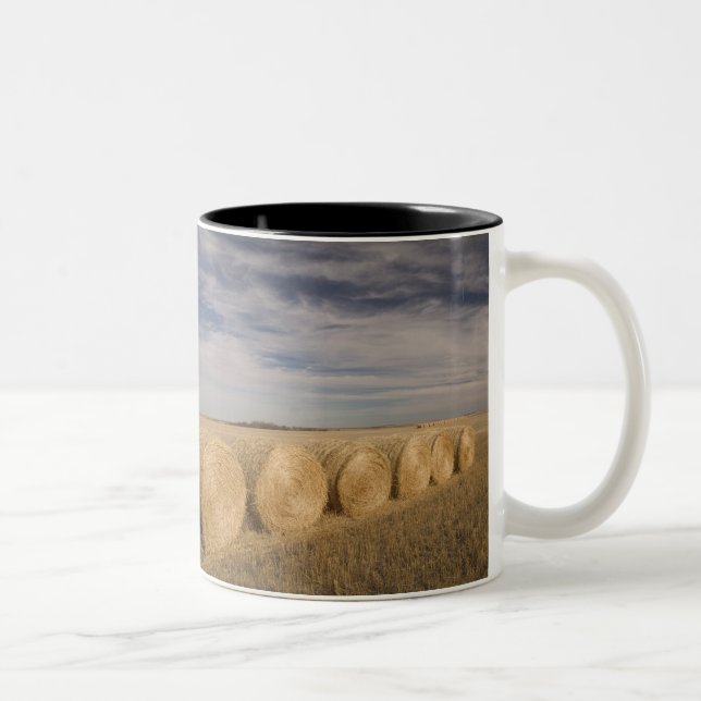 Caneca De Café Em Dois Tons Canadá, Saskatchewan, Craik: Fardos de feno / Outo (Direita)