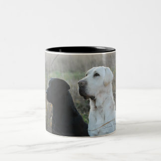 Caneca De Café Em Dois Tons Caneca de dois laboratórios