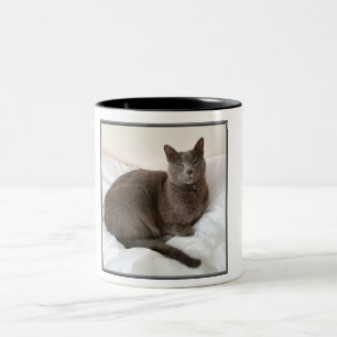 Caneca De Café Em Dois Tons Caneca de dois tons, gato azul do russo