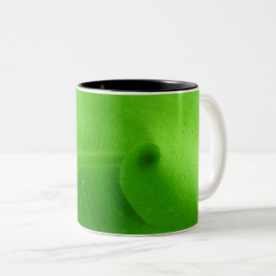 Caneca De Café Em Dois Tons Caneca em Dois Tons